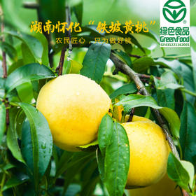 有机铁坡黄桃12个/盒