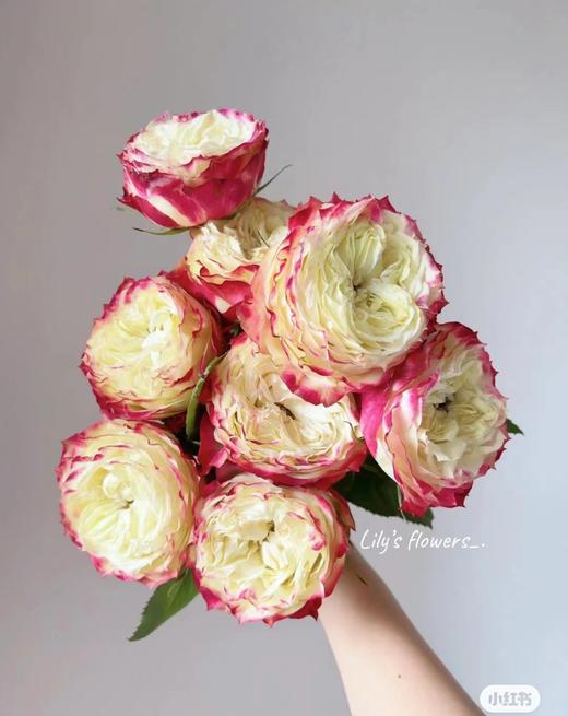 【福利秒杀】南粤推荐 苹果杰克  20支/扎 商品图1