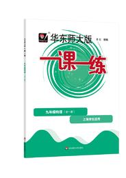 华东师大版一课一练.九年级物理(全一册)(上海学生适用)