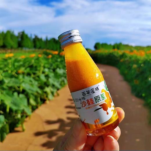 零添加剂 新疆沙棘原浆  60ml*28瓶 商品图1