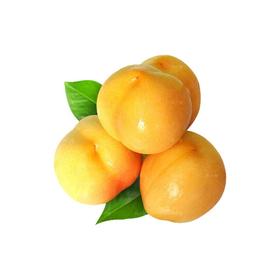 黄油桃 500/份 500/份