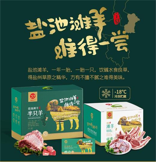 【南纬37°】盐池滩羊系列礼盒 商品图0
