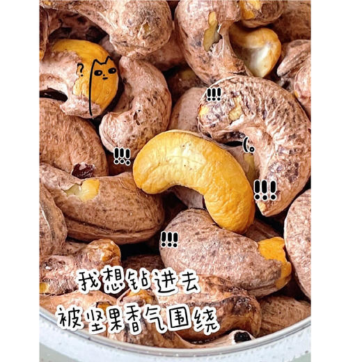 【每日食养】越南进口零食腰果A180盐焗带皮紫衣腰果 500g 商品图2