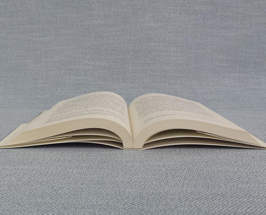 (仓发) 中日电影关系史：1920—1945/北京大学出版社/晏妮/9787301311707 商品图4