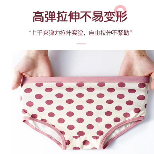 女童内裤平角儿童四角平裤小女孩三角裤小童短裤女宝宝中大童nls28 商品图8