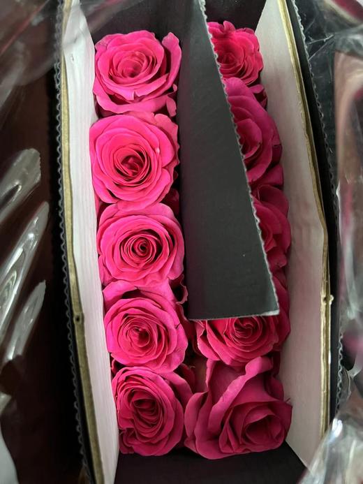 【拍市玫瑰】弗洛伊德 10枝/扎  60公分 商品图7