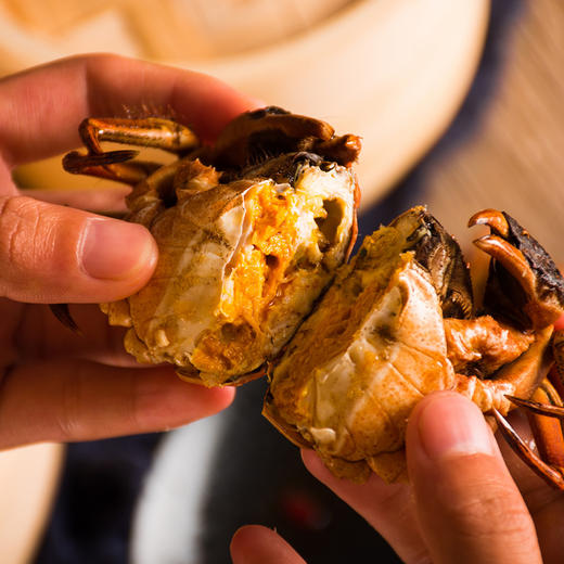 【礼券隆上记阳澄湖大闸蟹礼券3688型公蟹5.0两 母蟹4.0两 5对10只装 商品图4