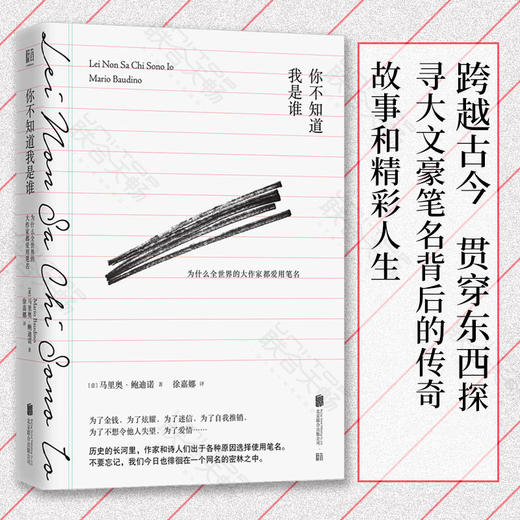 你不知道我是谁：为什么全世界的大作家都爱用笔名 商品图0
