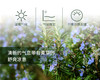 桉油醇迷迭香 Rosemary 单方精油 5ml 商品缩略图1