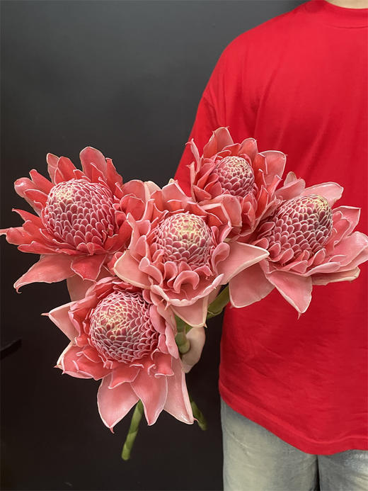 小众花材火炬姜瓷玫瑰 商品图10