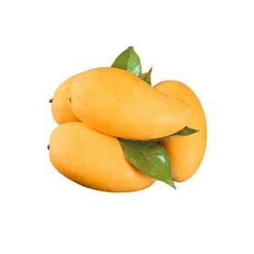 金煌芒（约500G） 00576 /g 5kg/g