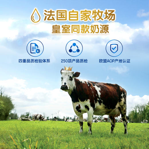 合生元贝塔星奶粉2段800g 商品图4