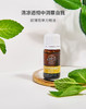 欧薄荷 Peppermint 单方精油 5ml 商品缩略图0