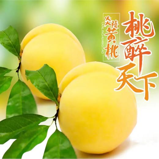 XZG-炎陵黄桃-10斤装-黄桃专线速运 商品图0