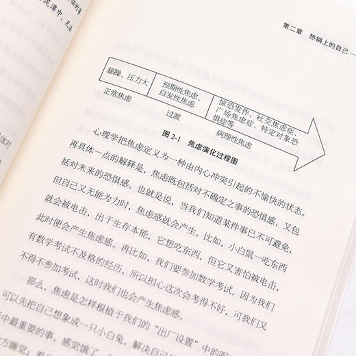 没什么大不了 ：做不被情绪支配的自己 商品图8