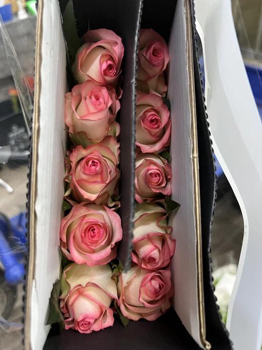 【拍市玫瑰】 爱莎  10枝/扎  约60公分 商品图6