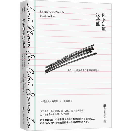 你不知道我是谁：为什么全世界的大作家都爱用笔名 商品图1