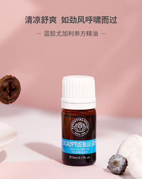 蓝胶尤加利 Eucalyptus Blue Gum 单方精油 5ml