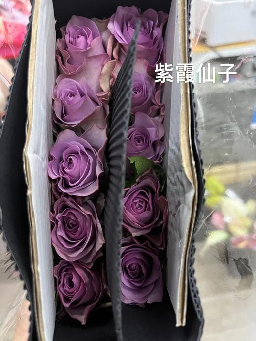 【拍市玫瑰】紫霞仙子 10枝/扎  约60公分 商品图1