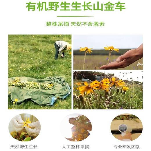 【一般贸易进口】法国Boiron宝弘 山金车凝胶 淤青膏 45g 宝宝儿童小孩 撞伤摔伤消除 商品图5