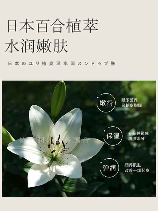浅香扁柏氨基酸洗发水500g（轻盈蓬松） 商品图4