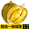 【39元/斤】(速冻)树熟金枕榴莲1颗 (重4斤，超重部分店内补差价)【当天提货】 商品缩略图1