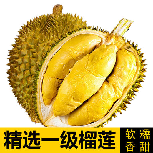 【39元/斤】(速冻)树熟金枕榴莲1颗 (重4斤，超重部分店内补差价)【当天提货】 商品图1