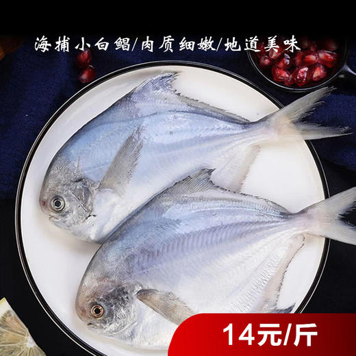 小晶鱼（白鲳鱼) 1200±10g/袋 商品图0