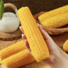 麦德龙 麦臻选 有机糯玉米棒 200g*4穗*2袋 商品缩略图2