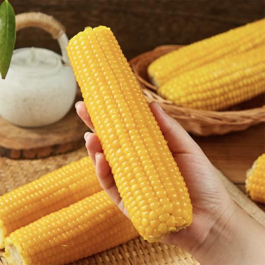 麦德龙 麦臻选 有机糯玉米棒 200g*4穗*2袋 商品图2