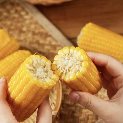 麦德龙 麦臻选 有机糯玉米棒 200g*4穗*2袋 商品图4