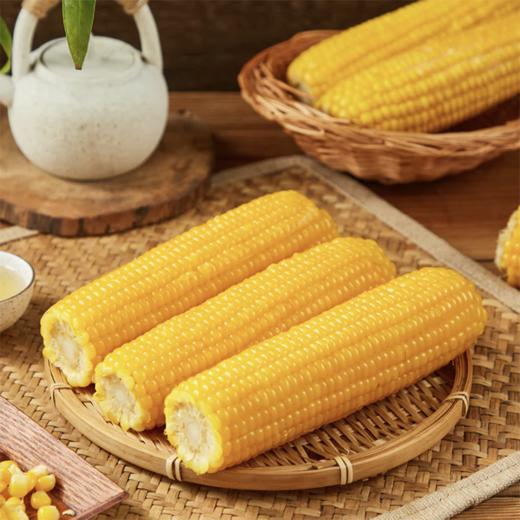 麦德龙 麦臻选 有机糯玉米棒 200g*4穗*2袋 商品图1