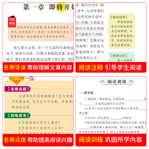 青鸟书正版 四年级经典书目小学生课外阅读书籍三4五六年级畅销书儿童读物青少年文学故事书无障碍完整版 商品图2
