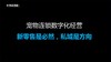 宠物连锁数字化经营 商品缩略图0