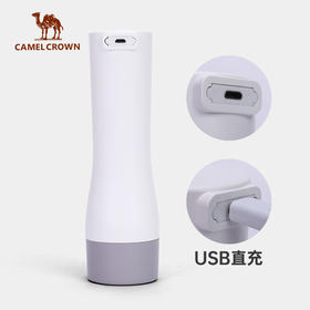 户外露营多功能照明LED手电筒可充电便携宿舍台灯两用长续航应急 1J32350507