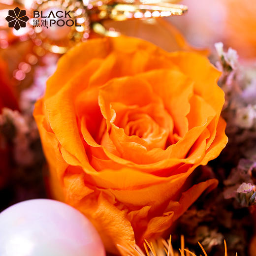 （限深圳福田）【狮子座·永生守护花（高25cm）】愿星河长明，星途璀璨。橙色永生花玫瑰/绣球/蓬莱松/水晶草/太阳/白色球 商品图2