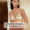 金三塔桑蚕丝内里 时尚蕾丝女士无钢圈舒适薄款文胸内衣  NZFCC304 商品缩略图2