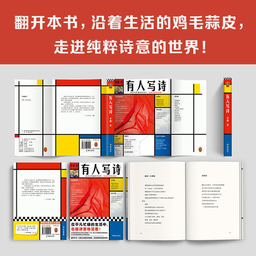 有人写诗（在平凡忙碌的生活中，也能诗意地活着！） 商品图7