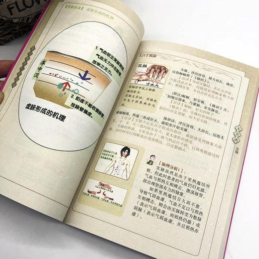 林政宏濒 湖脉学一学就通正版 中医脉学 脉诊把脉入门书籍 濒湖脉学白话解 中医基础理论入门书李时珍 中医中药初学院校学生参考书 商品图2