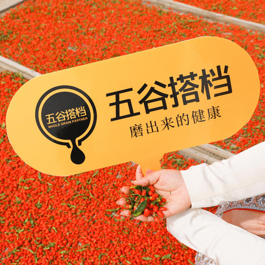 中宁枸杞，宁夏中宁产地 自然晒干 商品图4