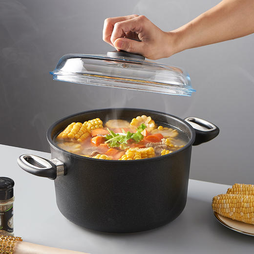 德国原装进口AMT不粘汤锅带盖高端不粘锅 商品图2