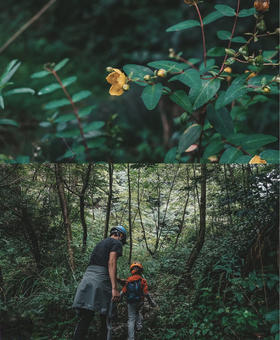 绝不无聊！在郑州过暑假必做的66件事，快收藏,暑期绝对超好玩！