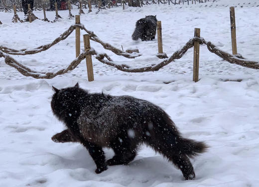 100sku基线 商品图0