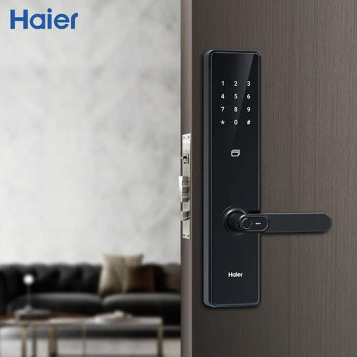 海尔（Haier）指纹锁HFH-20E-RW 商品图2
