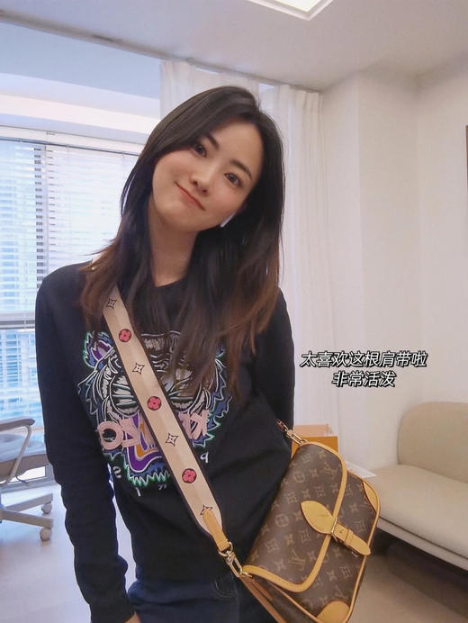 Lv新款法棍包（顶级原单） 商品图3