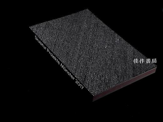 Skulptur Projekte Munster 2017/2017年敏斯特雕塑大展 商品图1