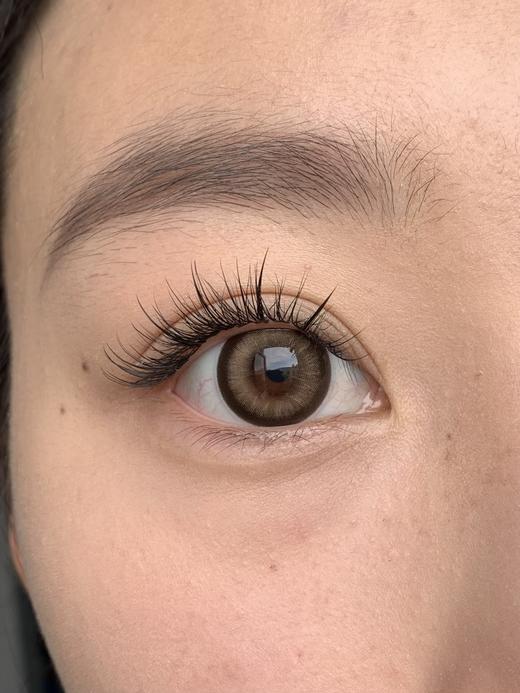 平价大直径丨冷冰萃·Budercon丨14.5mm（年抛/2片装） 商品图12