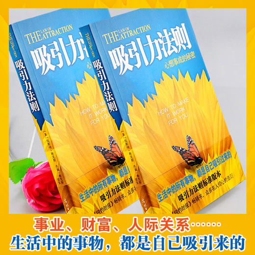 吸引力法则 心想事成的秘密 埃斯特希克斯 激发无限潜能增强个人魅力 自我实现青春励志职场人际交往书籍 商品图2