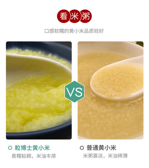 【买2赠1】 粒博士有机胚芽赤峰黄小米粟米非粘米煮粥宝宝米月子米500g 商品图5