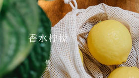 香水柠檬——酸酸甜甜恋爱滋味 | 植物小课堂018